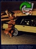 Ford 1982 501.jpg
